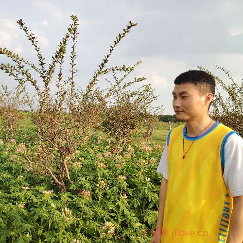 37岁岁广东单身帅哥 - 商丘吉缘网